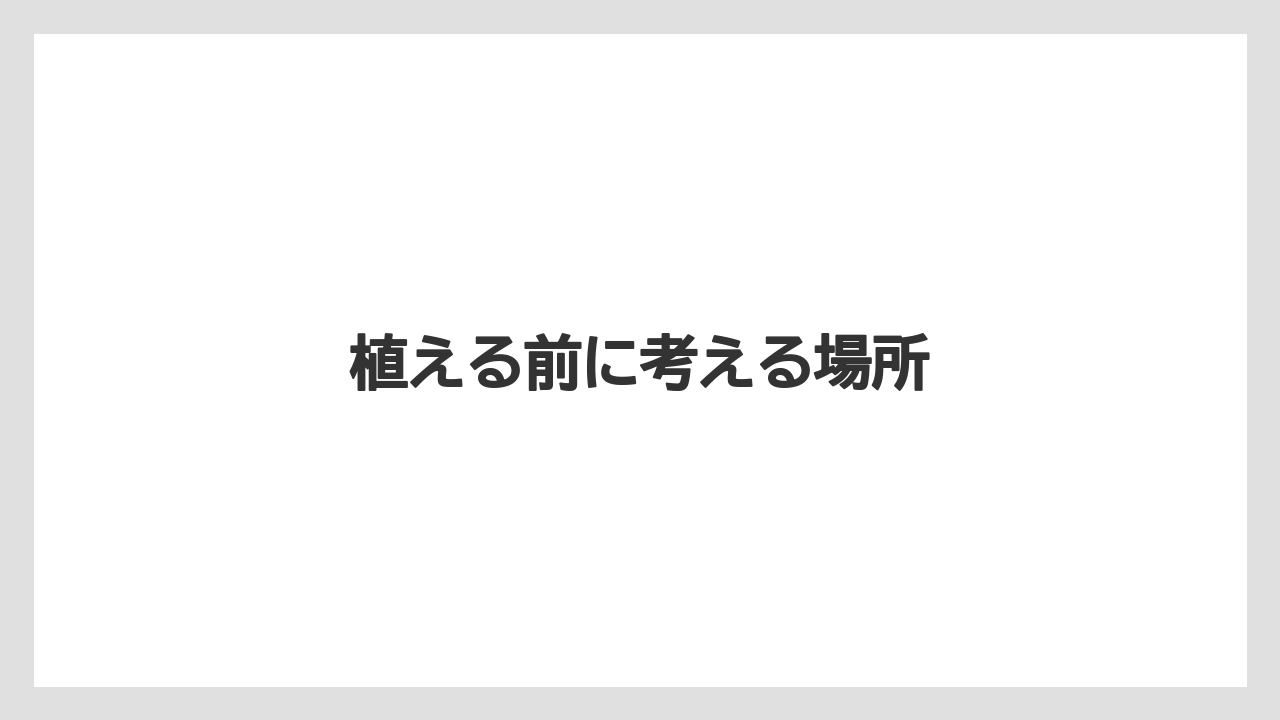 【しそ】【剪定】【危険】【植え】【毒】植える前に考える場所