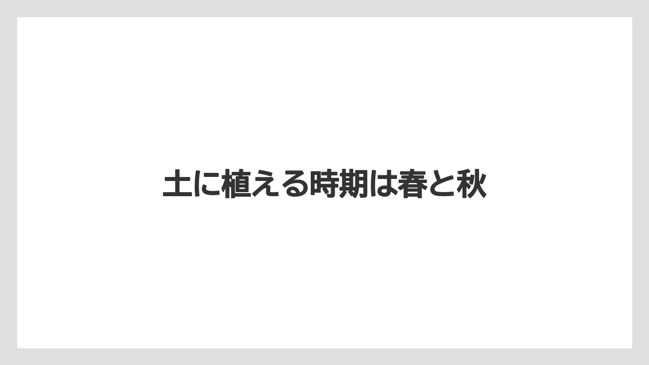 【いけない】【土】【庭】【植え】【豆苗】土に植える時期は春と秋