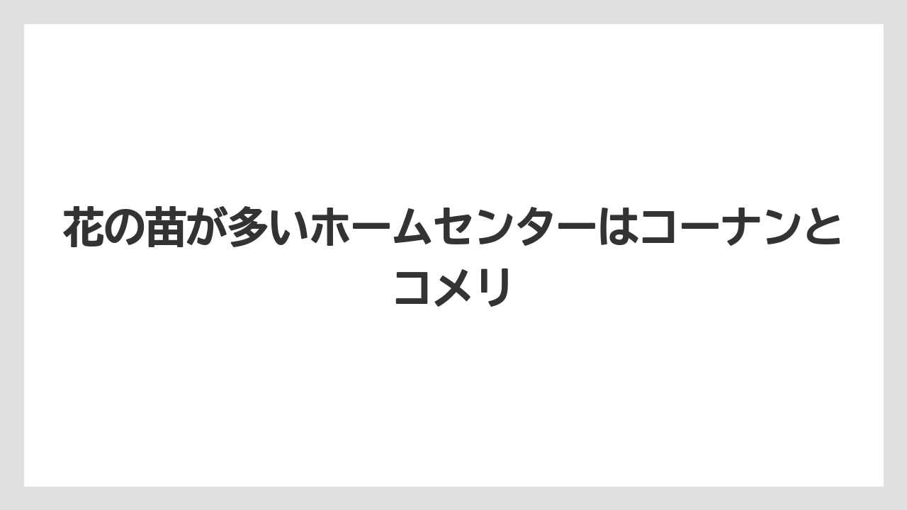 【コーナン】【栽培】【植物】【苗】花の苗が多いホームセンターはコーナンとコメリ