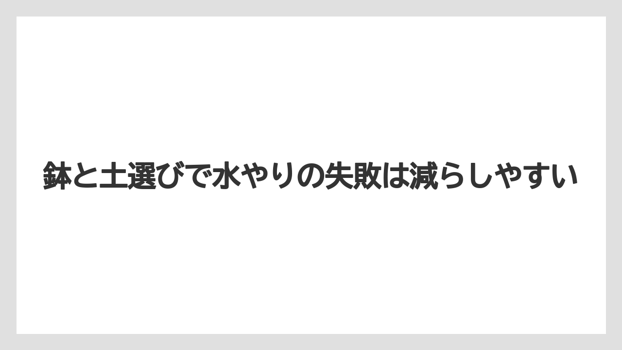 【アガベ】【サボテン】【多肉植物】【栽培】【肥料】鉢と土選びで水やりの失敗は減らしやすい
