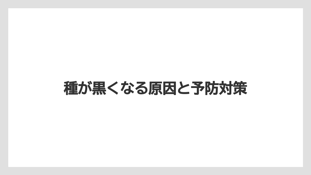 【マンゴー】【栽培】【水耕栽培】【種】種が黒くなる原因と予防対策