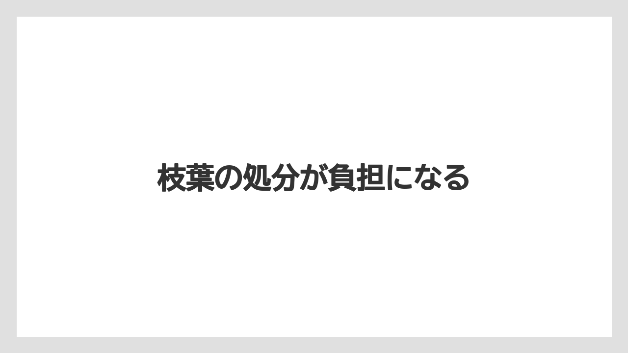 【デメリット】【レッドロビン】【剪定】【害虫】【水やり】枝葉の処分が負担になる