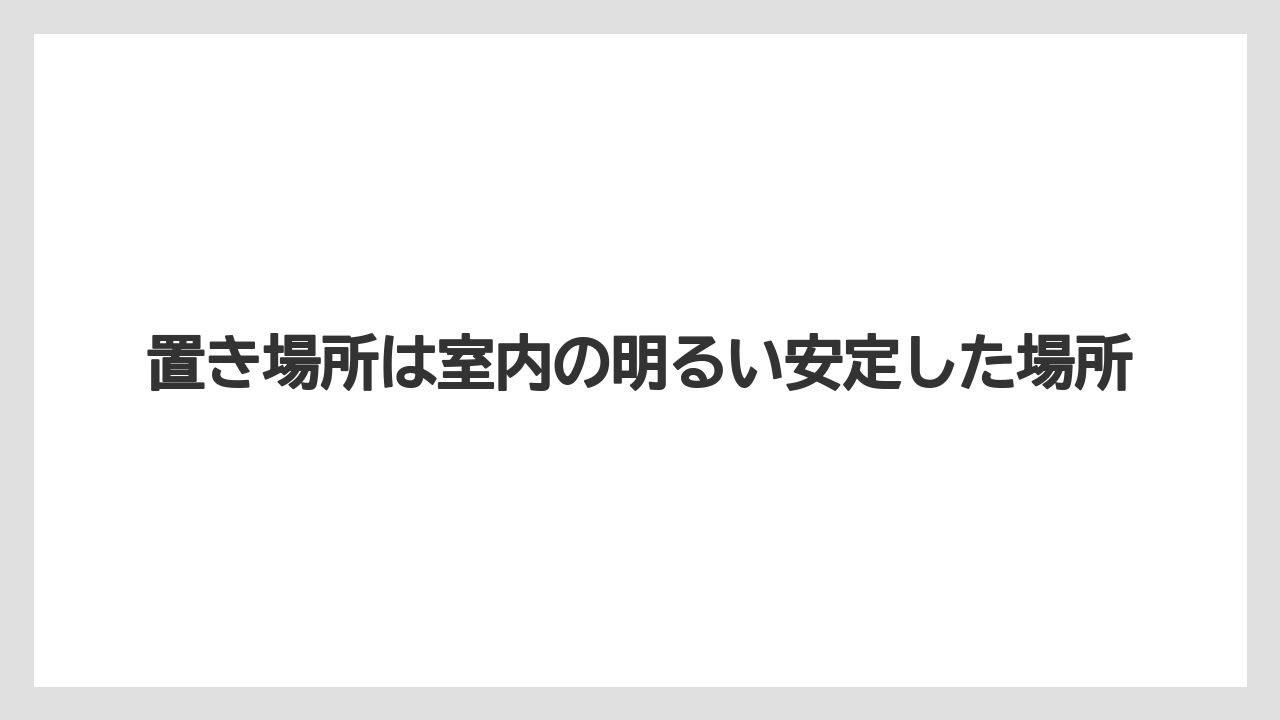 【エバーフレッシュ】【栽培】【育て方】置き場所は室内の明るい安定した場所