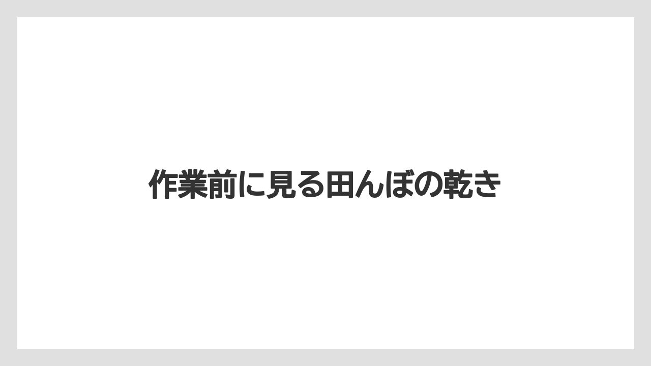 【しそ】【トラクター】【栽培】【植え】【育て方】作業前に見る田んぼの乾き