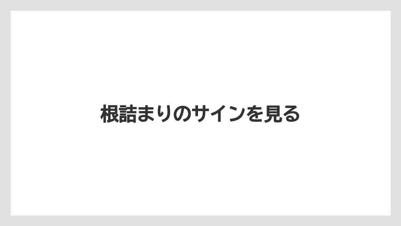 【剪定】【植え】【水やり】【育て方】【花】根詰まりのサインを見る