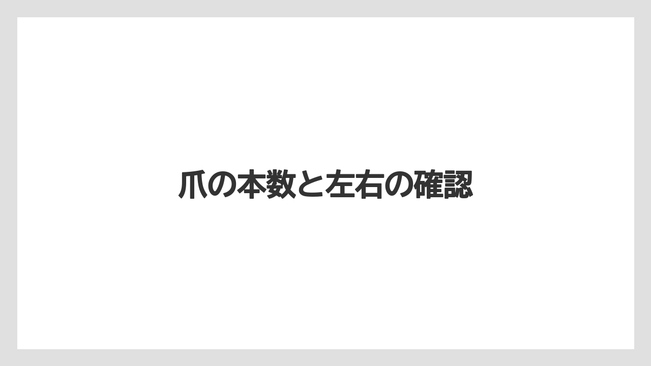 【トラクター】【バラ】【土】【根】【種】爪の本数と左右の確認