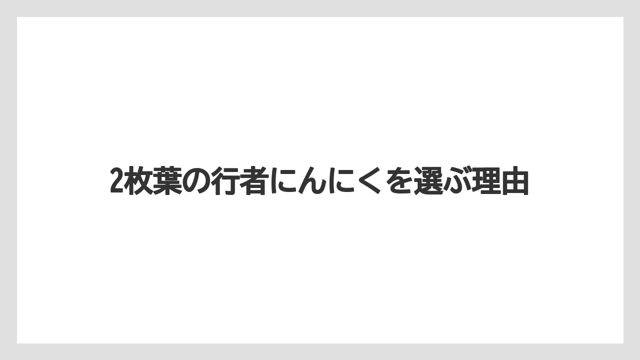 【栽培】【育ち】【行者にんにく】2枚葉の行者にんにくを選ぶ理由