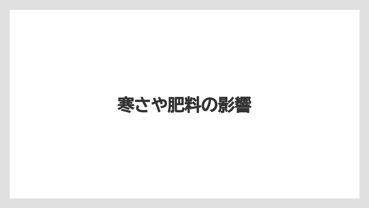 【バラ】【パキラ】【剪定】【水やり】【育て方】寒さや肥料の影響