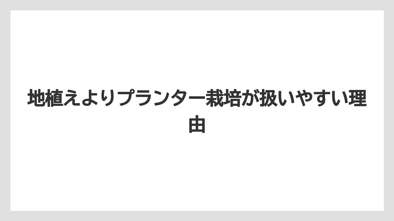 【栽培】【猫】【農業】地植えよりプランター栽培が扱いやすい理由