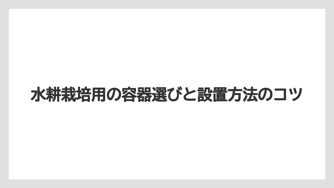 【マンゴー】【栽培】【水耕栽培】【種】水耕栽培用の容器選びと設置方法のコツ