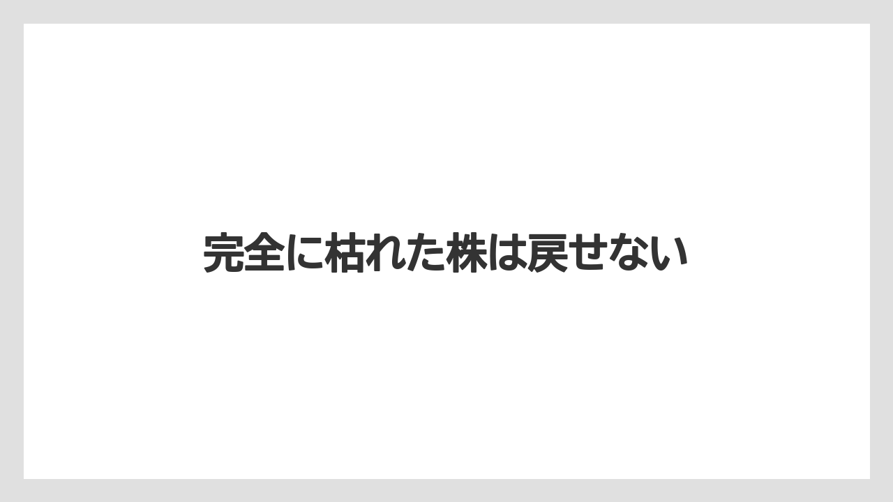 【いけない】【サンスベリア】【サンセベリア】【枯れ】【水やり】完全に枯れた株は戻せない