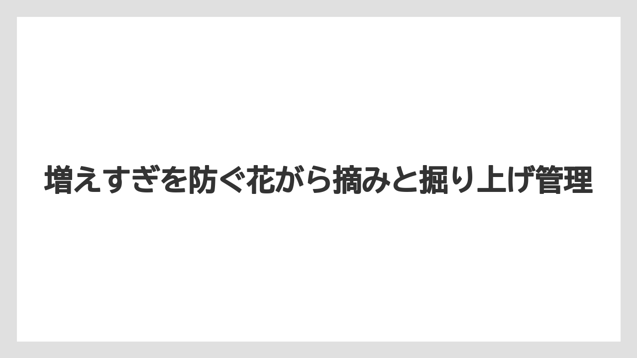 【栽培】【猫】【農業】増えすぎを防ぐ花がら摘みと掘り上げ管理