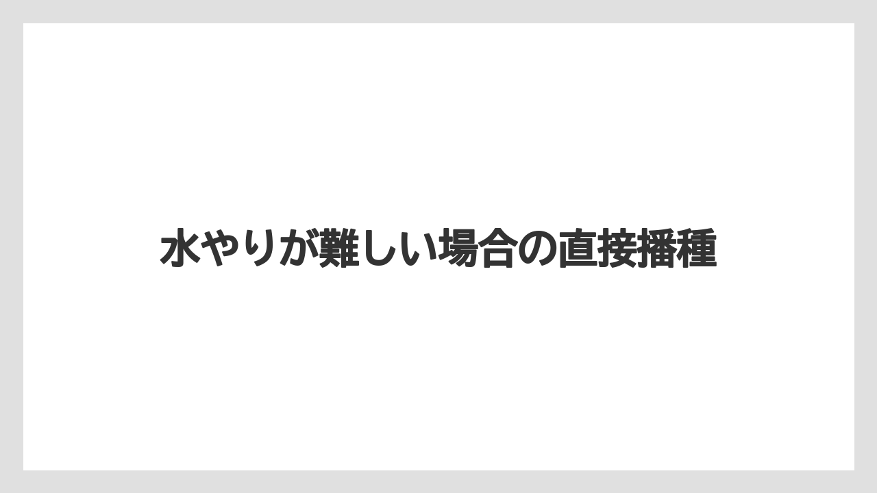 【栽培】【種】【農業】水やりが難しい場合の直接播種
