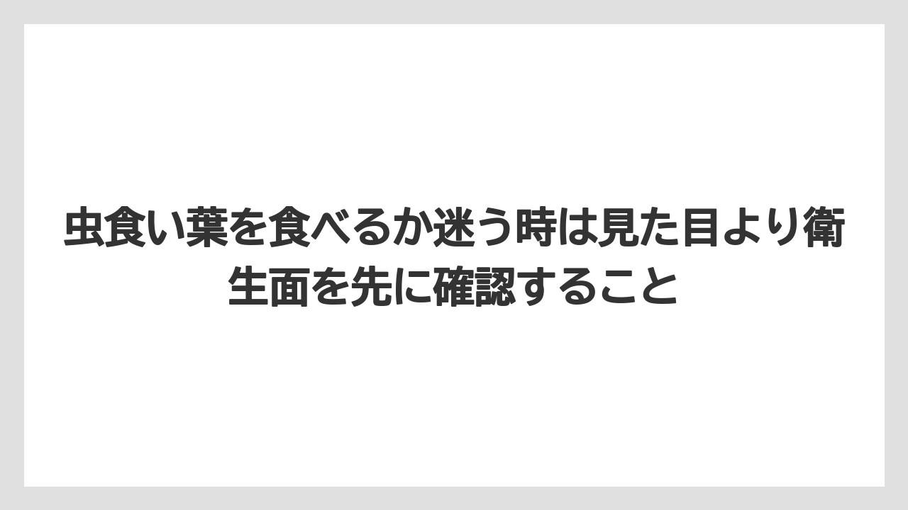 【コーヒー】【大葉】【栽培】虫食い葉を食べるか迷う時は見た目より衛生面を先に確認すること