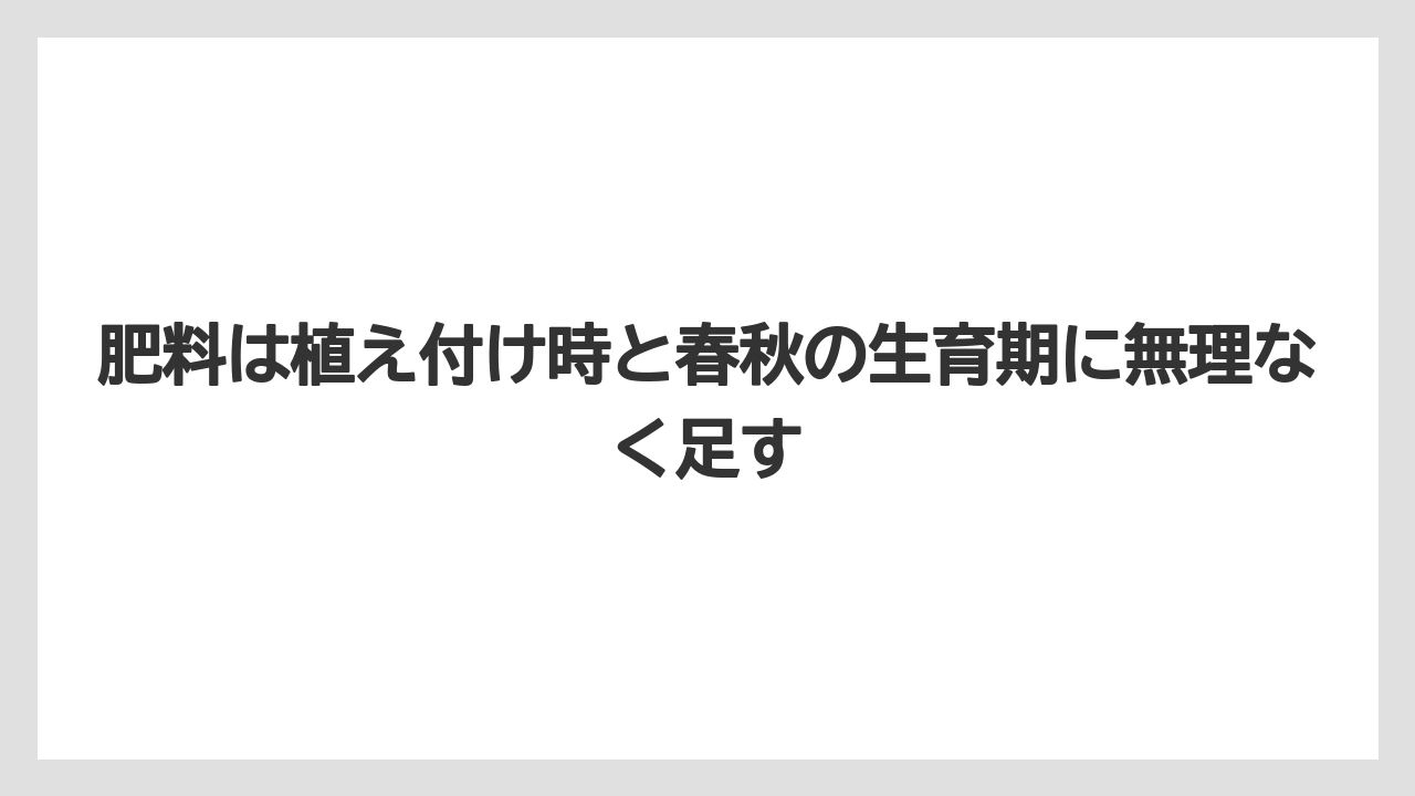 【バラ】【栽培】【肥料】肥料は植え付け時と春秋の生育期に無理なく足す