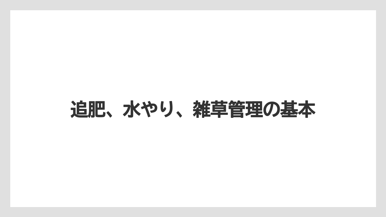 【ニラ】【ニンジン】【ニンニク】【ネギ】【玉ねぎ】追肥、水やり、雑草管理の基本