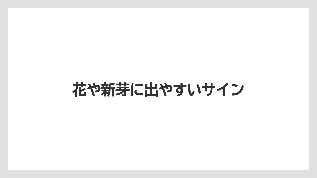【うどんこ】【ベニカX】【多肉植物】【水やり】【育て方】花や新芽に出やすいサイン