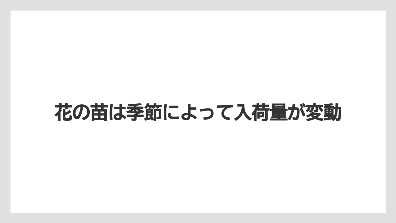 【コーナン】【栽培】【植物】【苗】花の苗は季節によって入荷量が変動