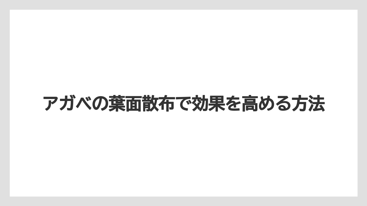【アガベ】【リキダス】【栽培】アガベの葉面散布で効果を高める方法