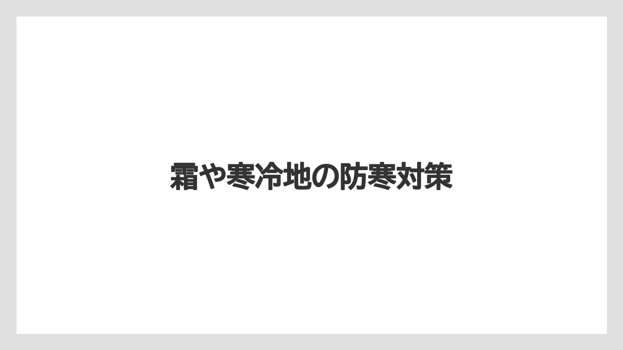 【プランター】【ミント】【剪定】【水やり】【越し】霜や寒冷地の防寒対策