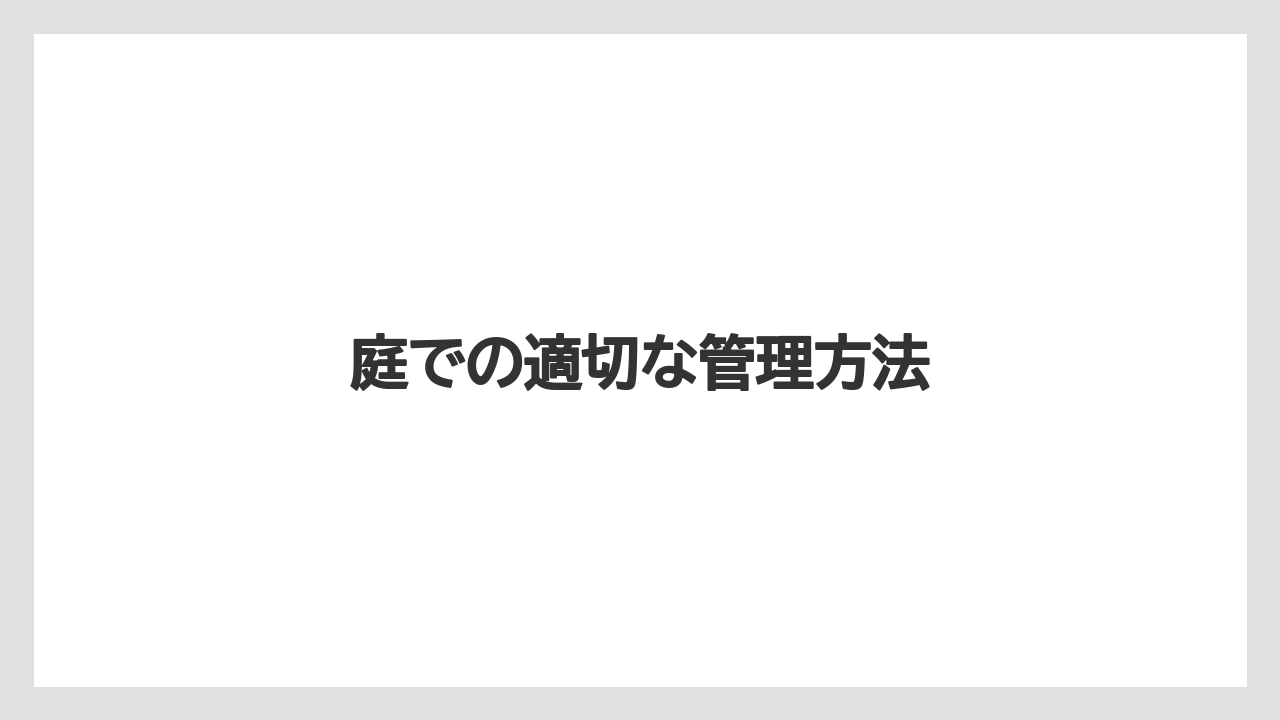 【大葉】【庭】【栽培】庭での適切な管理方法