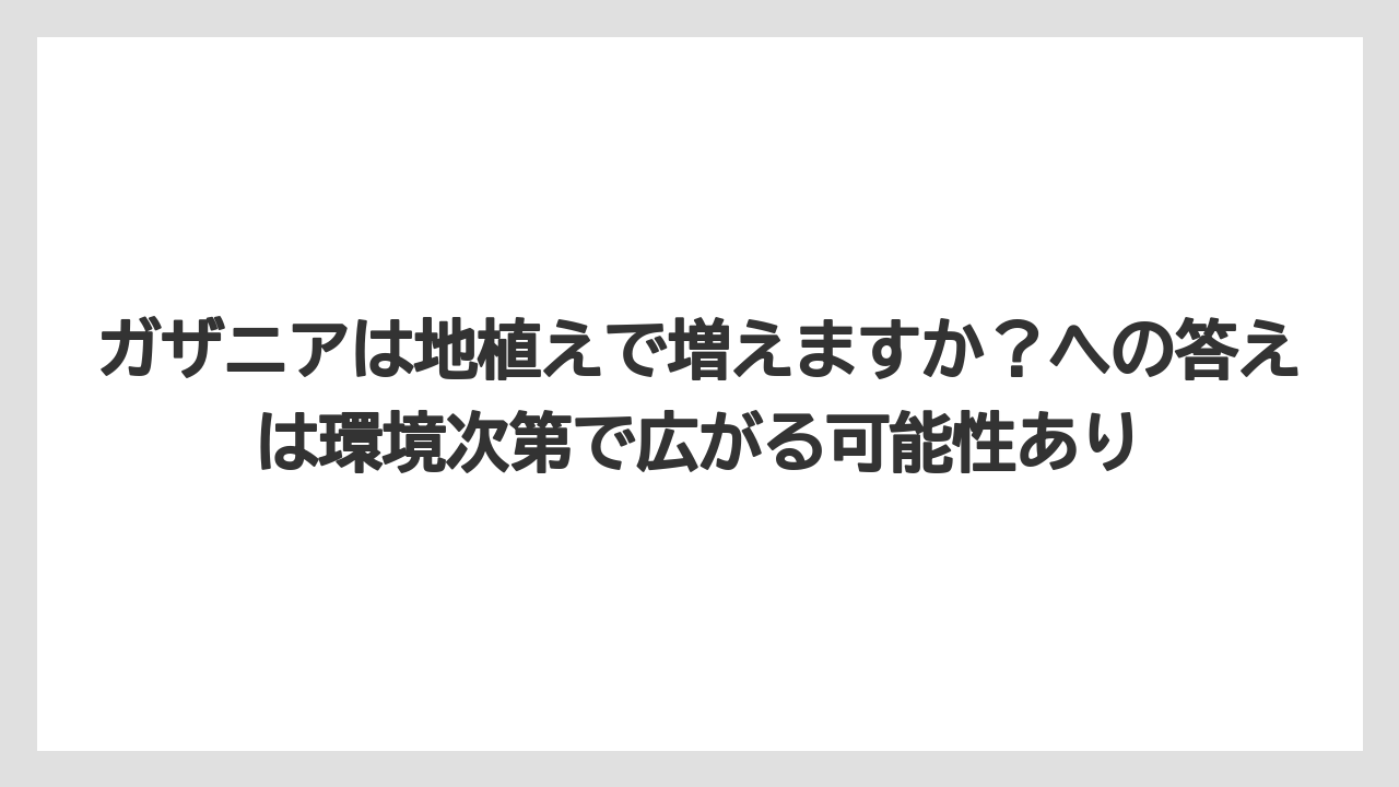 【バラ】【栽培】【肥料】ガザニアは地植えで増えますか？への答えは環境次第で広がる可能性あり
