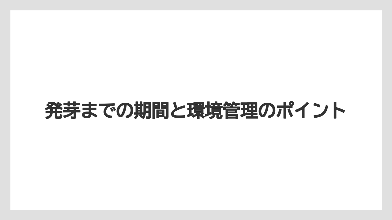 【マンゴー】【栽培】【水耕栽培】【種】発芽までの期間と環境管理のポイント