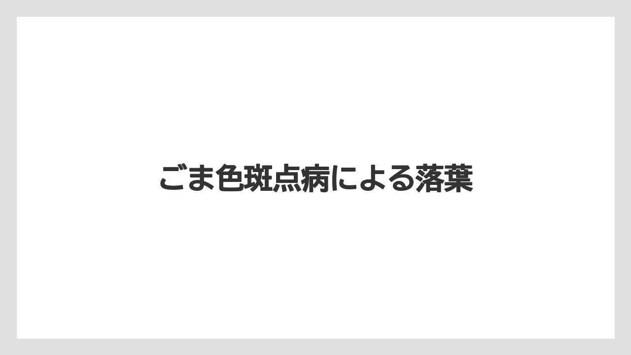 【レッドロビン】【剪定】【栽培】ごま色斑点病による落葉