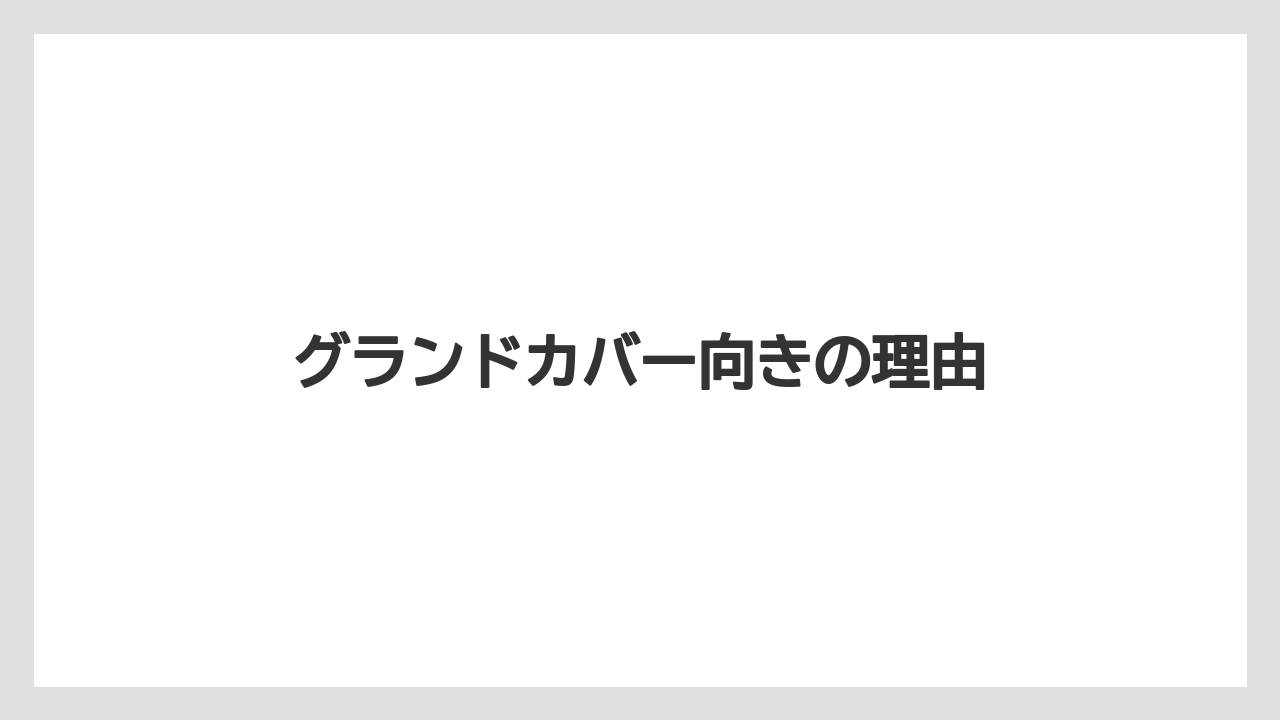 【栽培】【植え】【水やり】【種】【育て方】グランドカバー向きの理由