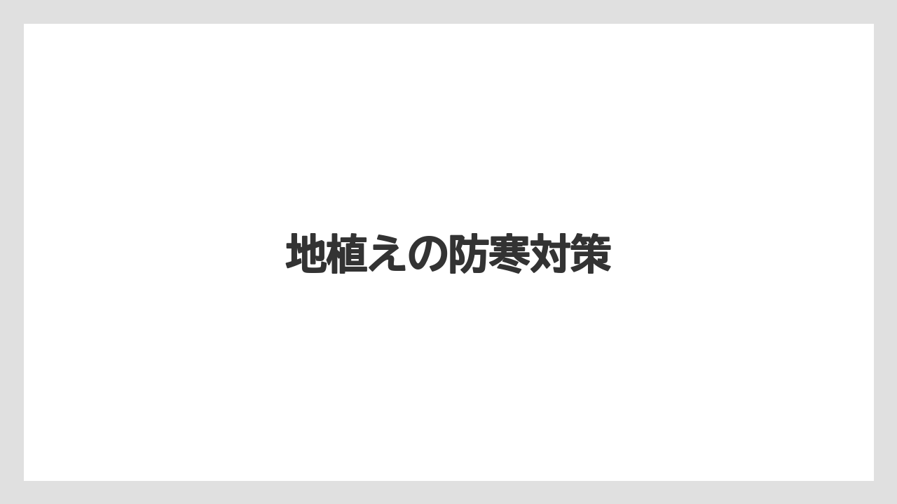 【バラ】【害虫】【枯れ】【水やり】【越し】地植えの防寒対策
