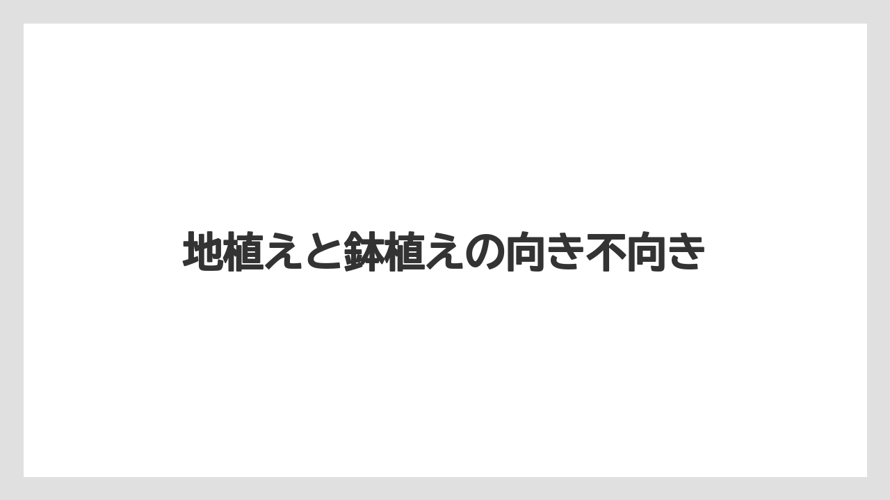 【スモークツリー】【栽培】【苗】地植えと鉢植えの向き不向き