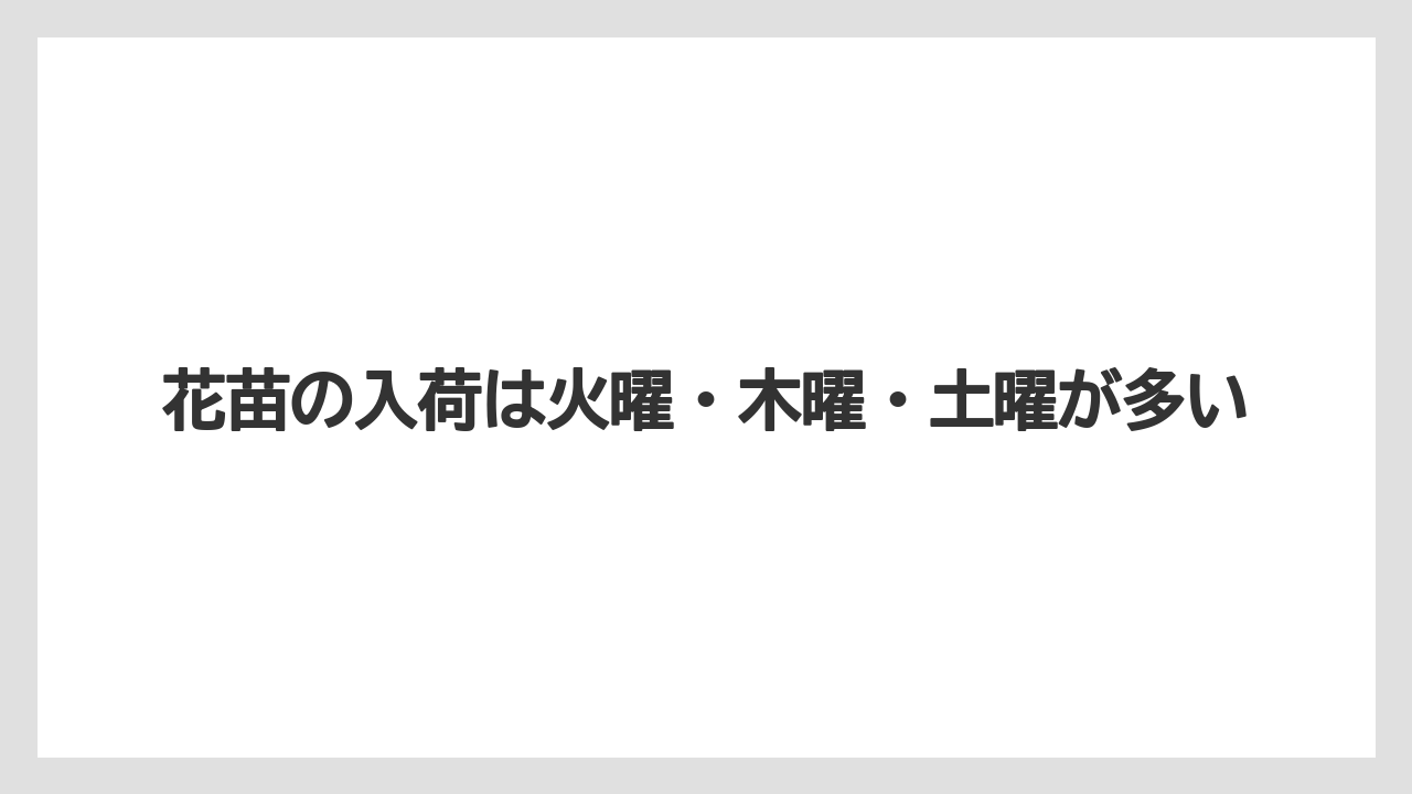 【栽培】【花】【苗】花苗の入荷は火曜・木曜・土曜が多い