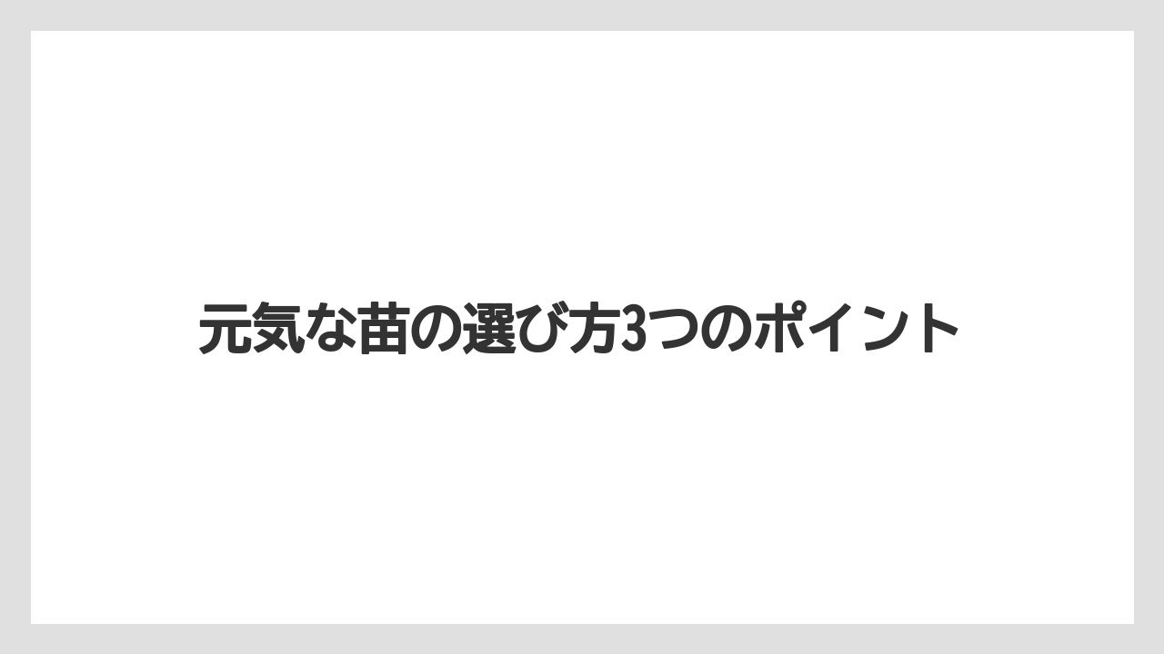 【大葉】【栽培】【育て方】【苗】元気な苗の選び方3つのポイント