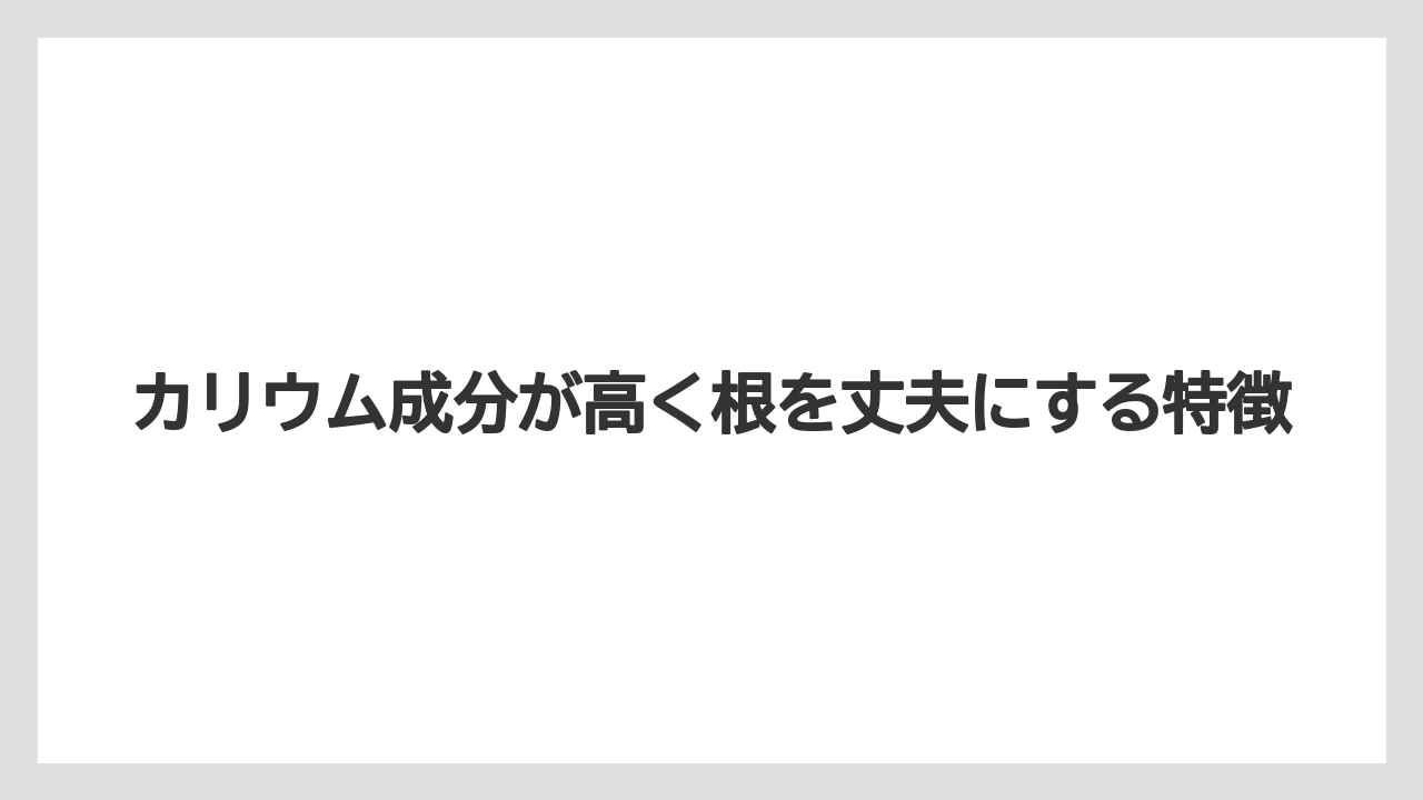 【ハイポネックス】【栽培】【農業】カリウム成分が高く根を丈夫にする特徴
