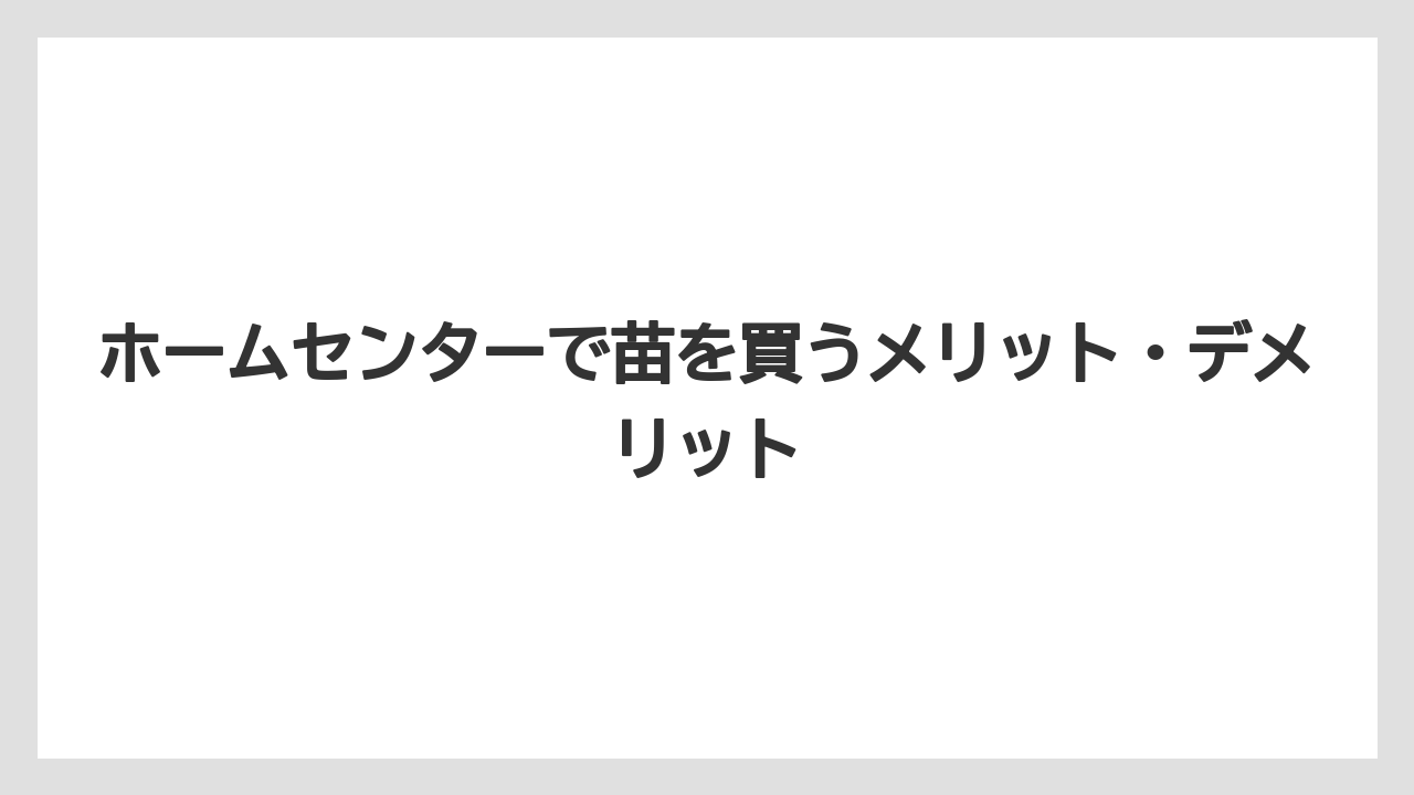 【大葉】【栽培】【育て方】【苗】ホームセンターで苗を買うメリット・デメリット