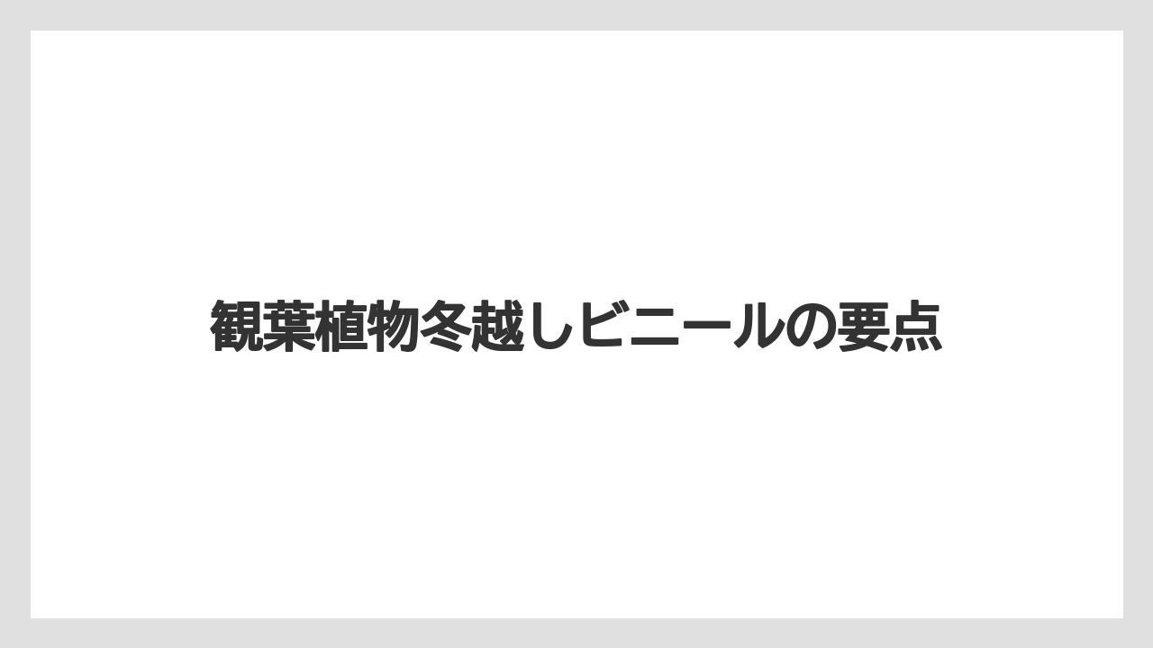 【植物】【水やり】【育て方】【観葉】【越し】観葉植物冬越しビニールの要点