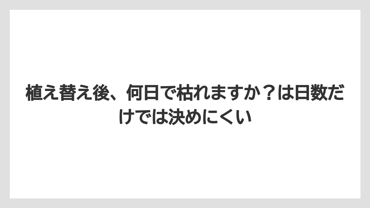 【アガベ】【サボテン】【多肉植物】【栽培】【肥料】植え替え後、何日で枯れますか？は日数だけでは決めにくい