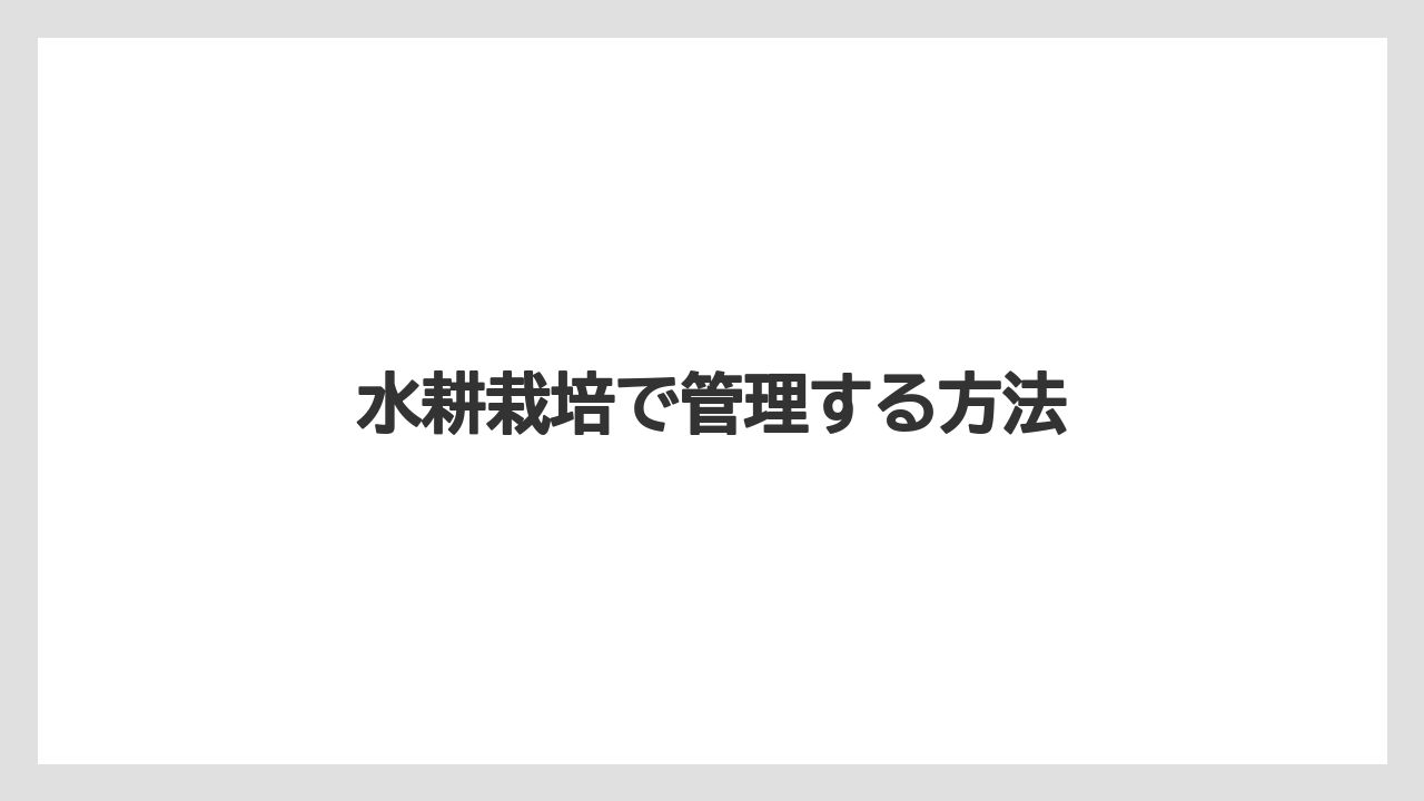 【いけない】【プランター】【植え】【水やり】【水耕栽培】水耕栽培で管理する方法