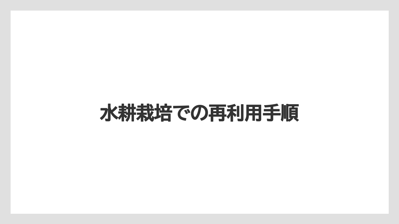 【バーミキュライト】【根】【栽培】水耕栽培での再利用手順