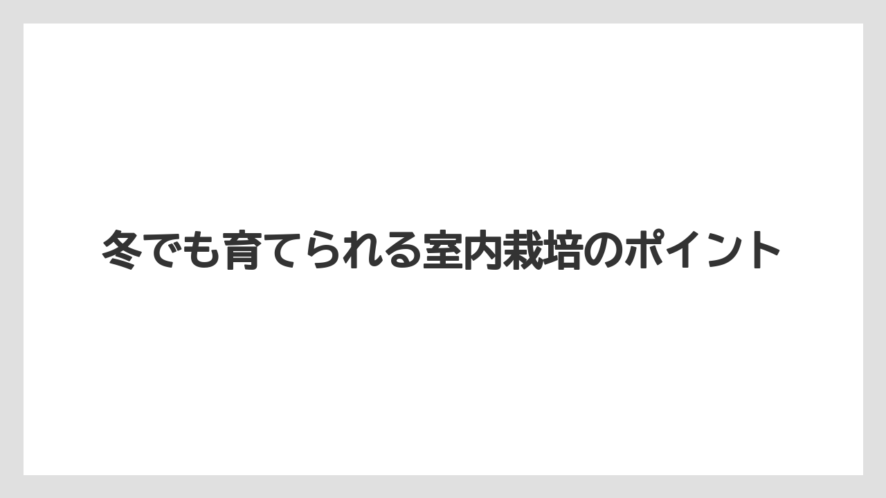 【大葉】【栽培】【水耕栽培】冬でも育てられる室内栽培のポイント