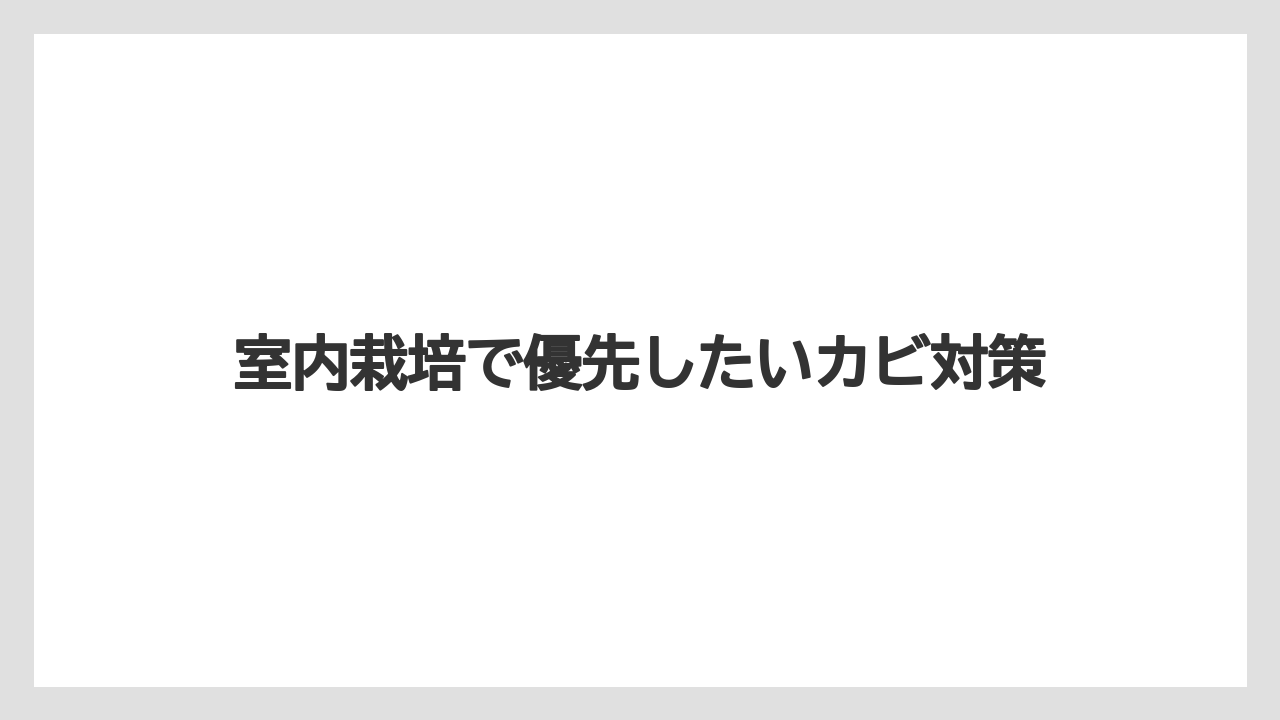 【栽培】【水耕栽培】【育て方】室内栽培で優先したいカビ対策