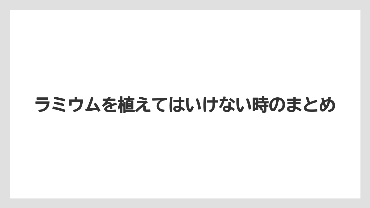 【いけない】【プランター】【植え】【水やり】【育て方】ラミウムを植えてはいけない時のまとめ