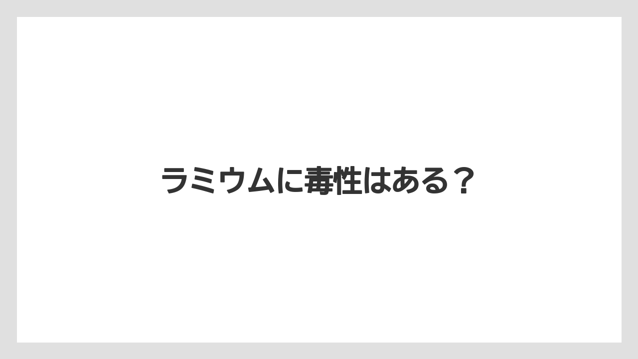 【いけない】【プランター】【植え】【水やり】【育て方】ラミウムに毒性はある？