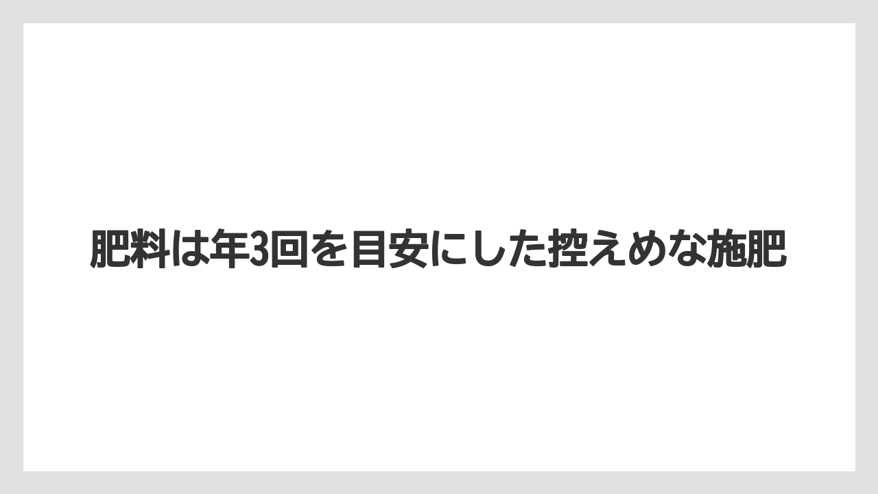 【スモークツリー】【栽培】【苗】肥料は年3回を目安にした控えめな施肥