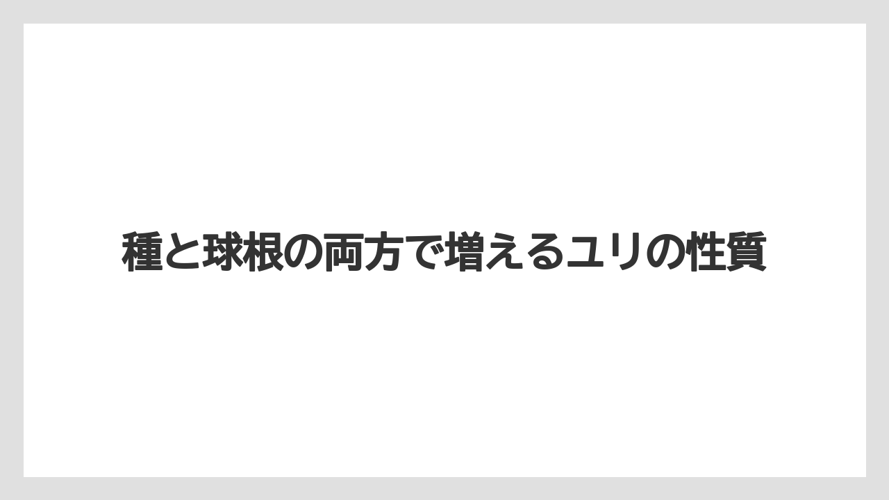 【栽培】【猫】【農業】種と球根の両方で増えるユリの性質