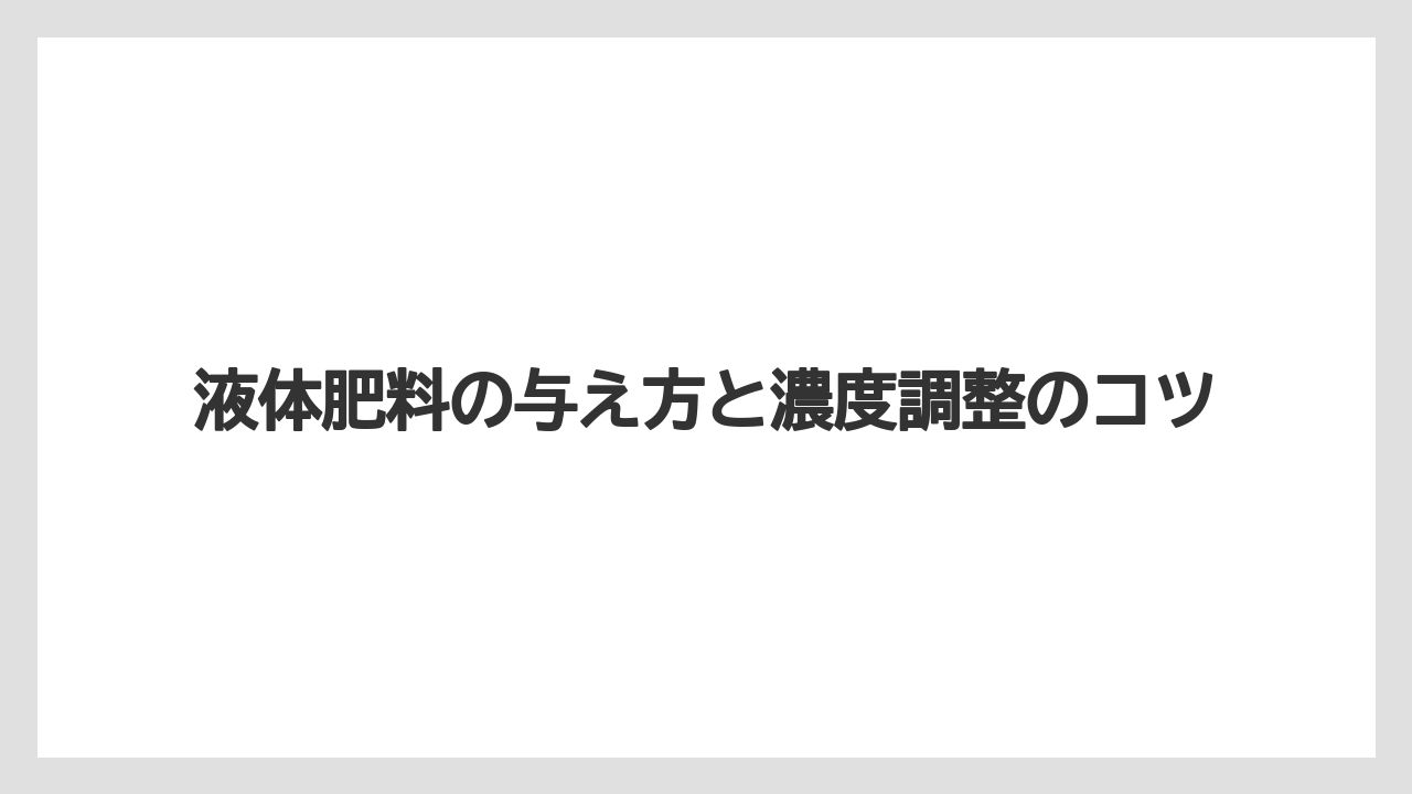 【大葉】【栽培】【水耕栽培】液体肥料の与え方と濃度調整のコツ
