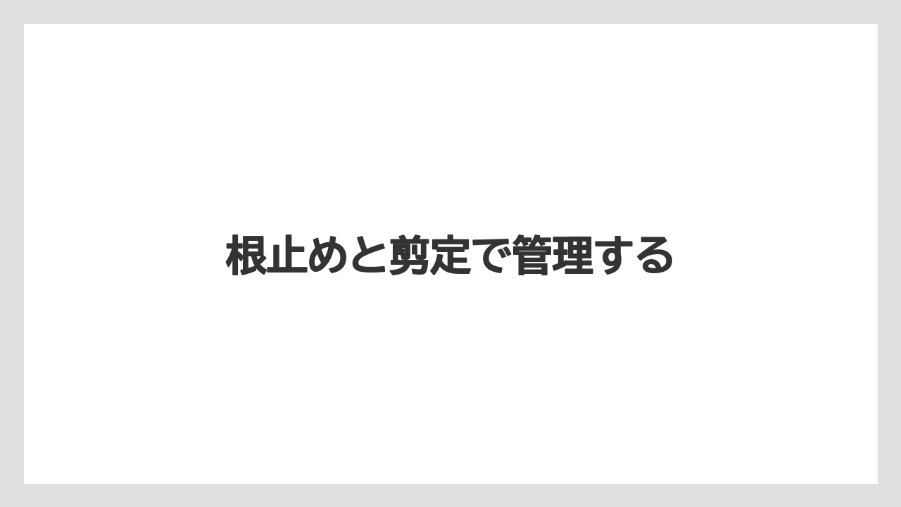 【いけない】【プランター】【植え】【水やり】【育て方】根止めと剪定で管理する
