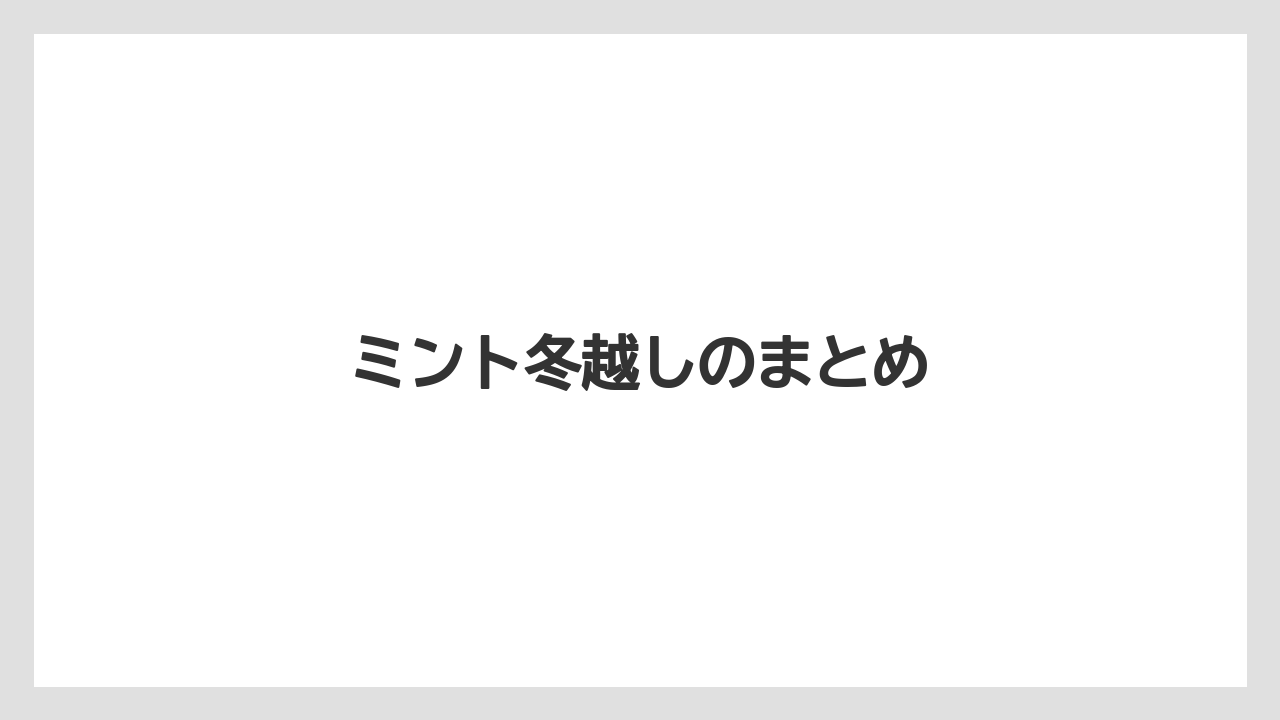 【プランター】【ミント】【剪定】【水やり】【越し】ミント冬越しのまとめ