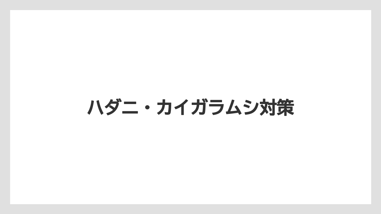 【うどんこ】【ベニカX】【多肉植物】【水やり】【育て方】ハダニ・カイガラムシ対策