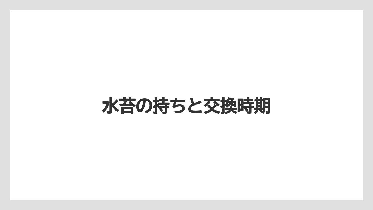 【100均】【デンドロビウム】【植え】【水やり】【育て方】水苔の持ちと交換時期